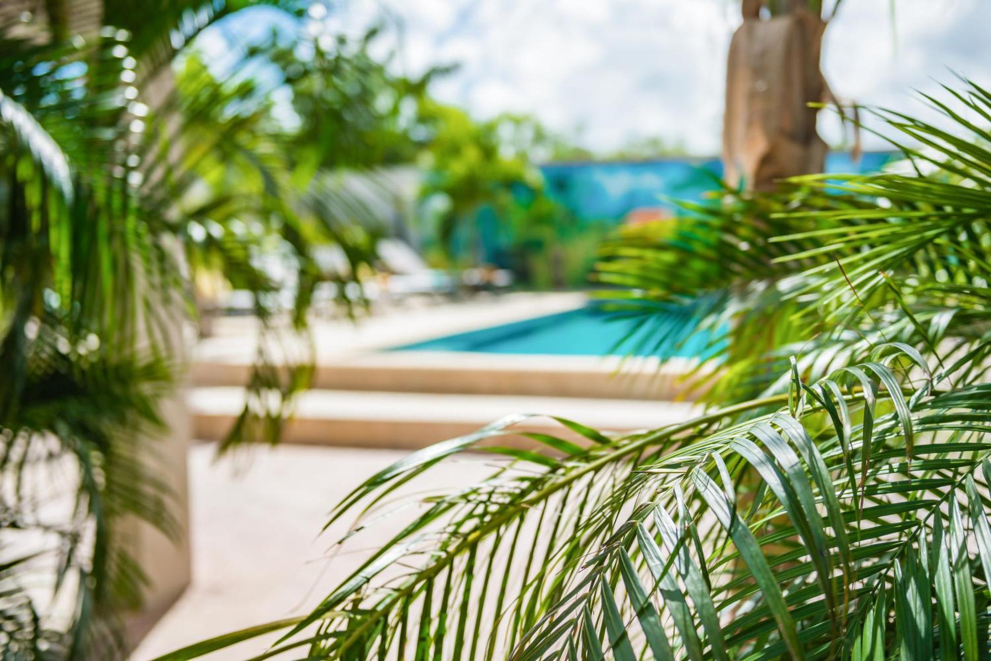 Casita Palma Boutique Resort Playa Dış mekan fotoğraf